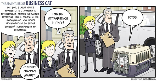 бизнес кот